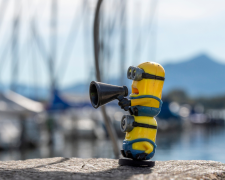 Increasing popularity of minions
