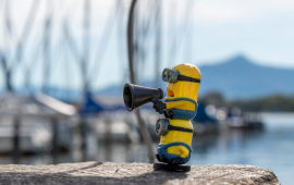 Increasing popularity of minions