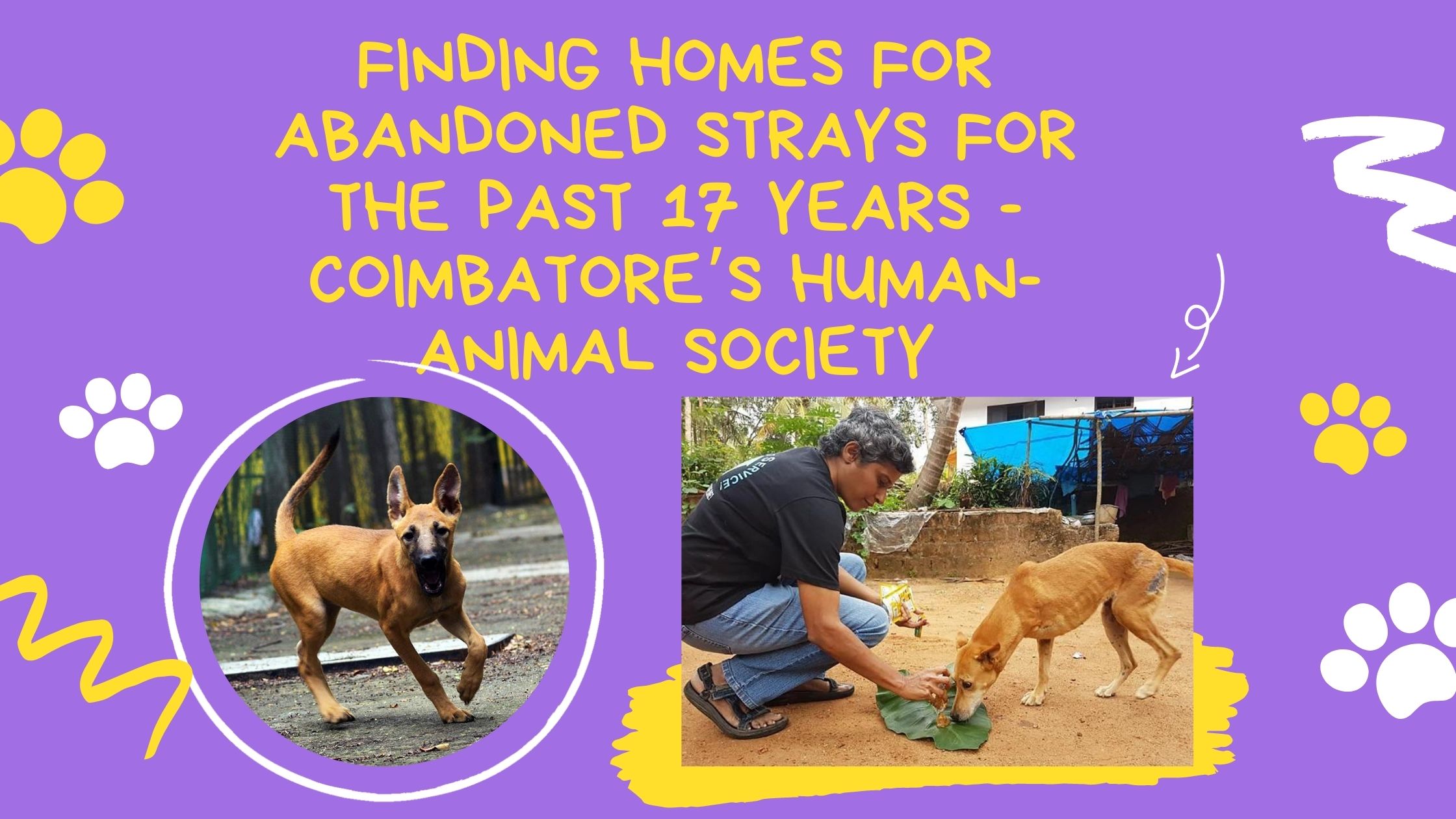 Finding homes for abandoned strays for the past 17 years- Coimbatore’s Human-Animal Society