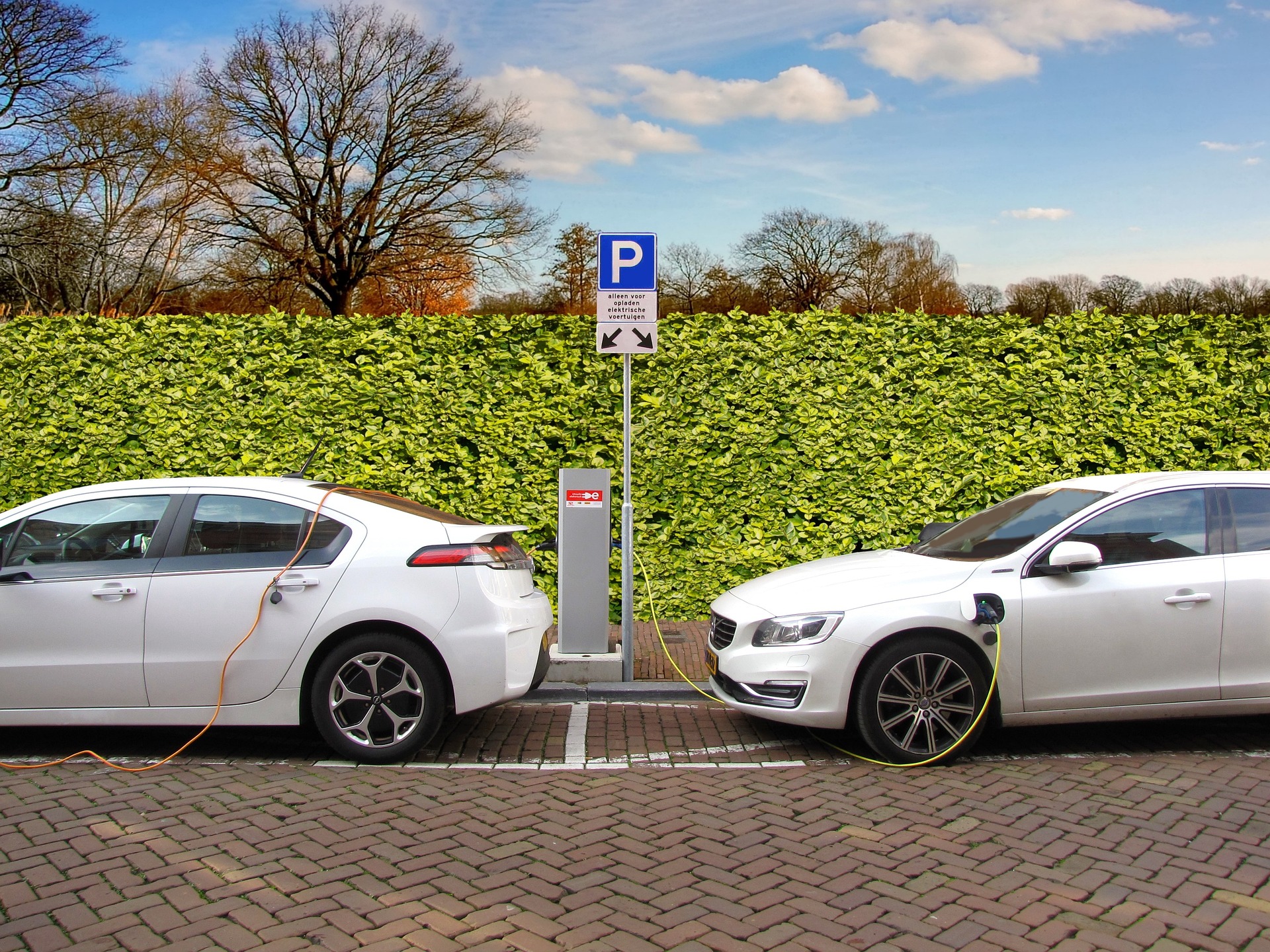 EVs and their acceptance in the Sub-continent