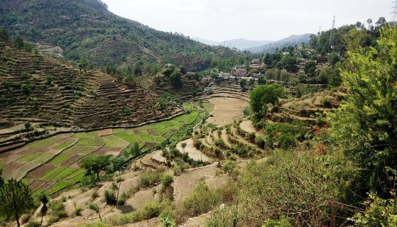 8 bizarre villages in India