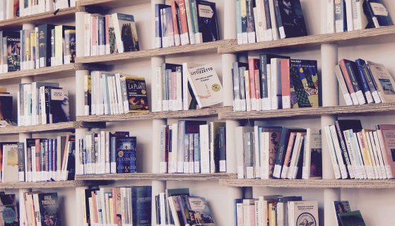Your 2022 TBR wrapped with Blogchatter