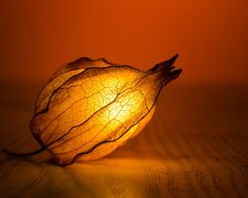 4 effective techniques and action steps to spice up our life