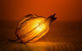 4 effective techniques and action steps to spice up our life