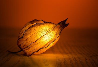 4 effective techniques and action steps to spice up our life