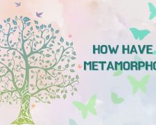 How have You Metamorphosed/Grown?