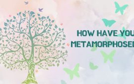 How have You Metamorphosed/Grown?