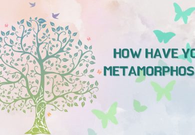 How have You Metamorphosed/Grown?