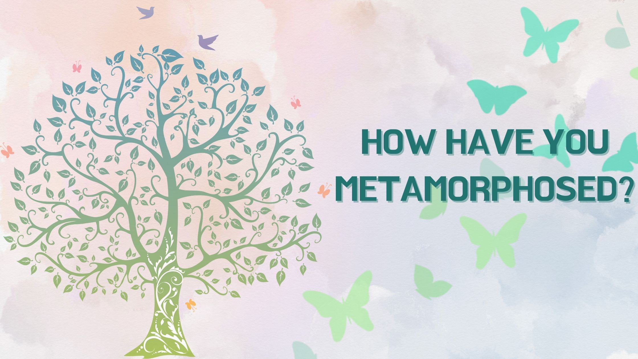 How have You Metamorphosed/Grown?