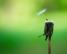 Mindful actions to keep a check on our emotions