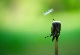 Mindful actions to keep a check on our emotions