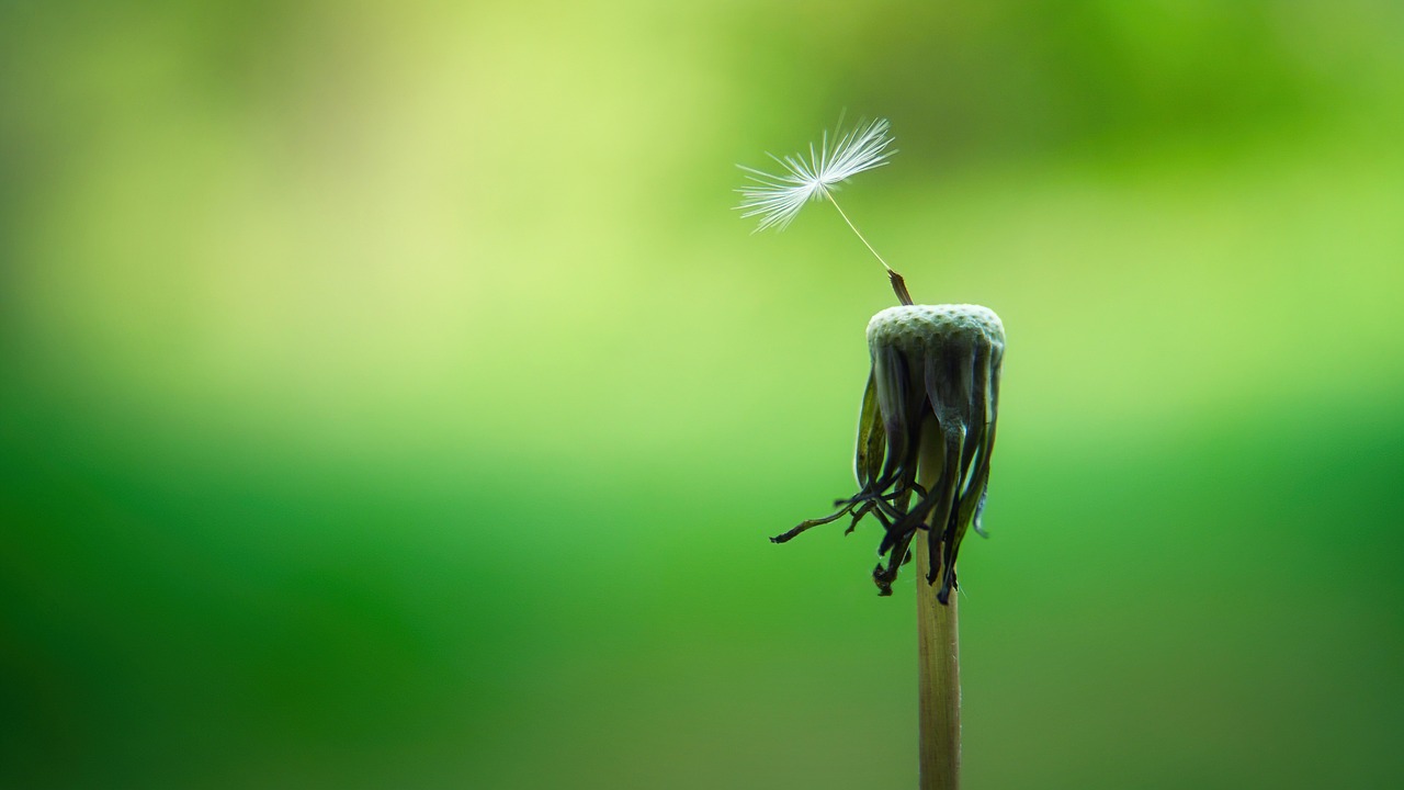 Mindful actions to keep a check on our emotions