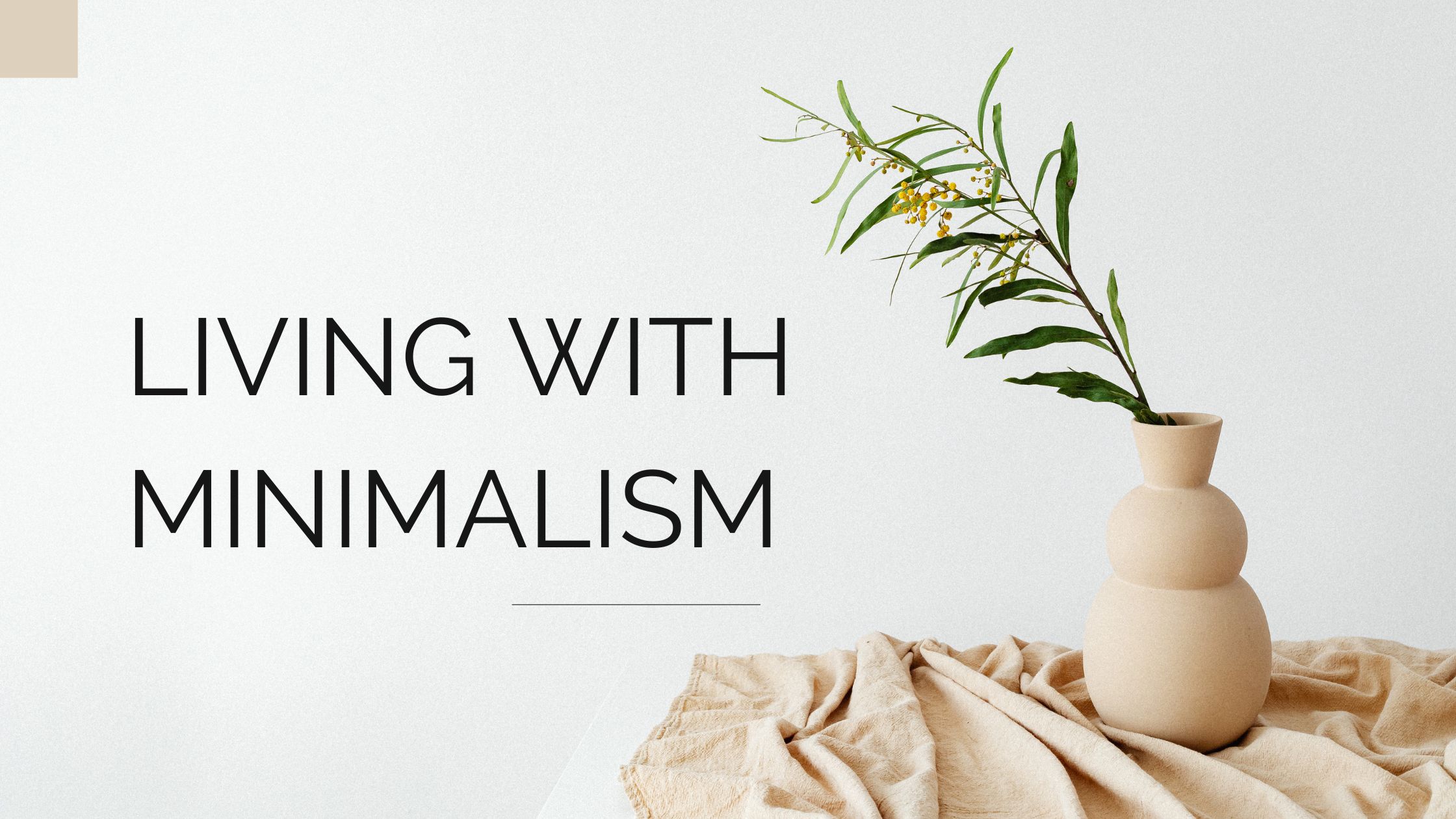 Living with Minimalism 