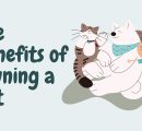 The Benefits of Owning a Pet