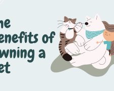 The Benefits of Owning a Pet