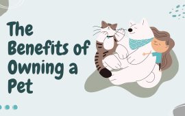 The Benefits of Owning a Pet