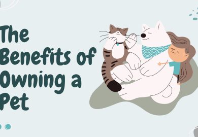 The Benefits of Owning a Pet