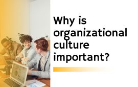 Why is organizational culture important?