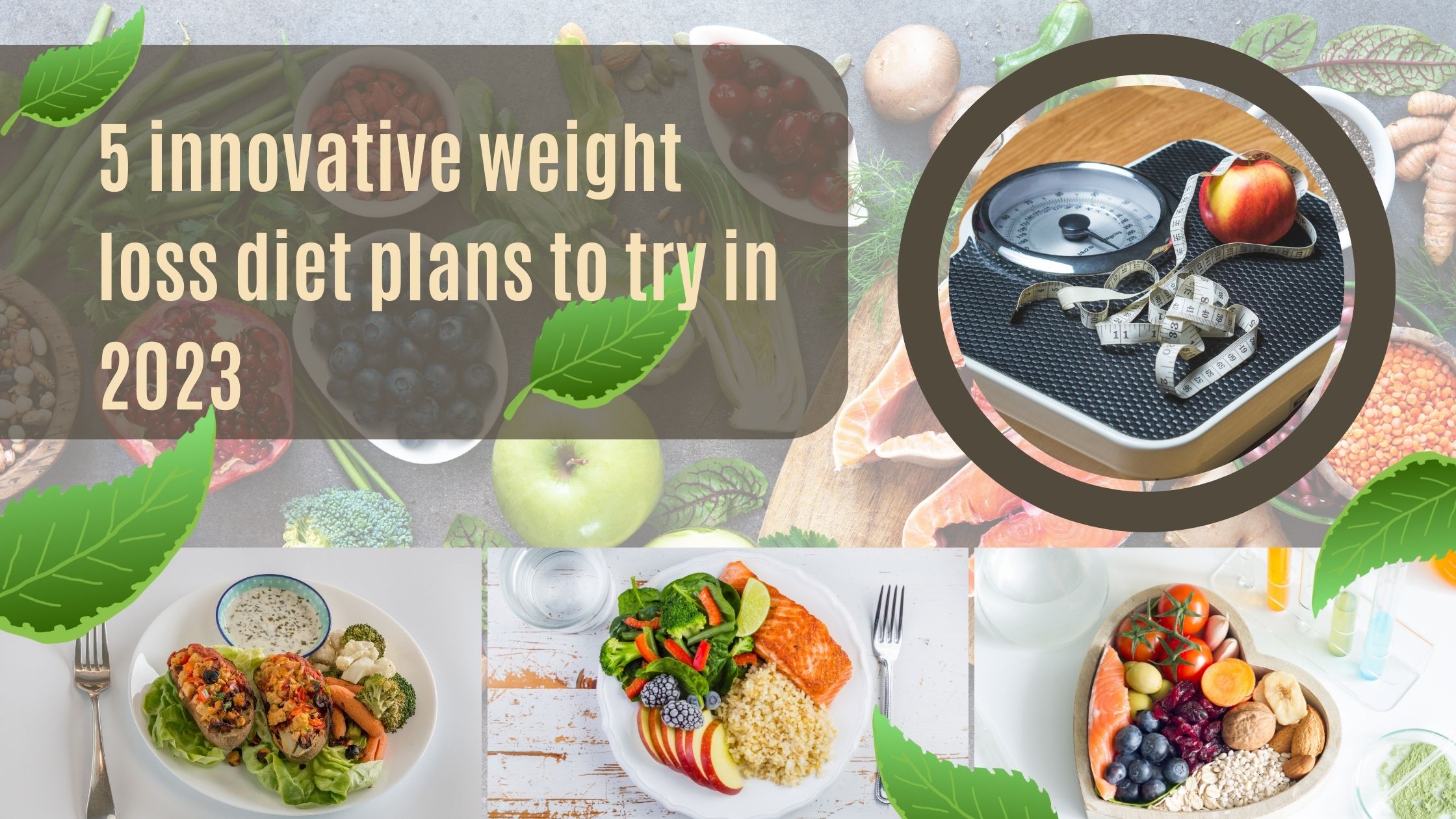 5 innovative weight loss diet plans to try in 2023