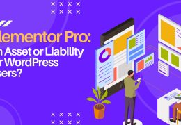 Elementor Pro: An Asset or Liability for WordPress Users?