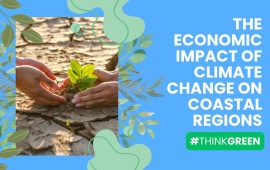 The Economic Impact of Climate Change on Coastal Regions