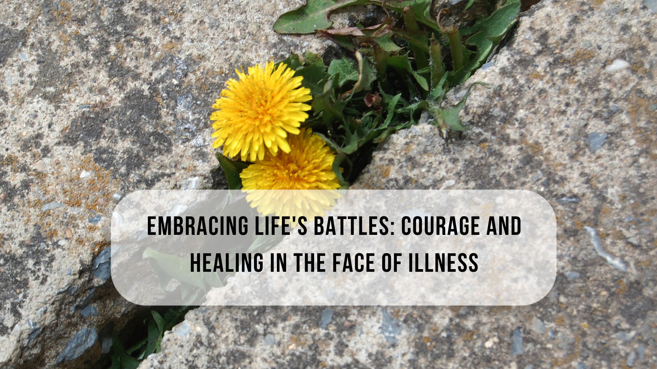 Embracing Life’s Battles: Courage and Healing in the Face of Illness