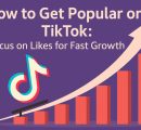 How to Get Popular on TikTok: Focus on Likes for Fast Growth