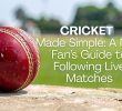 Cricket Made Simple: A New Fan’s Guide to Following Live Matches