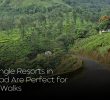 Why Jungle Resorts in Wayanad Are Perfect for Nature Walks