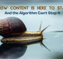 Slow Content Is Here to Stay — And the Algorithm Can’t Stop It