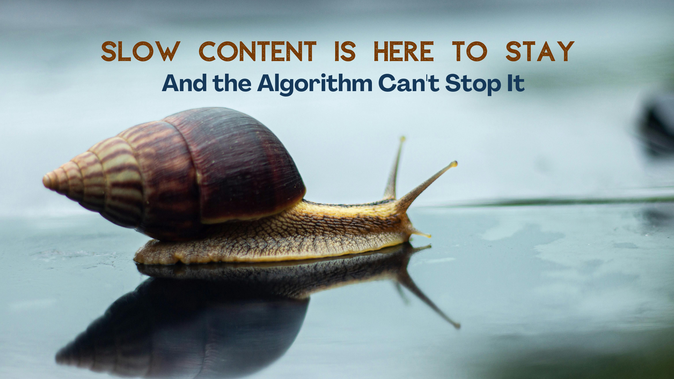 Slow Content Is Here to Stay — And the Algorithm Can’t Stop It