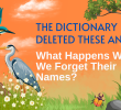 The Dictionary Deleted These Animals. What Happens When We Forget Their Names?