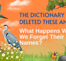 The Dictionary Deleted These Animals. What Happens When We Forget Their Names?