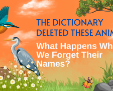 The Dictionary Deleted These Animals. What Happens When We Forget Their Names?