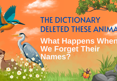 The Dictionary Deleted These Animals. What Happens When We Forget Their Names?