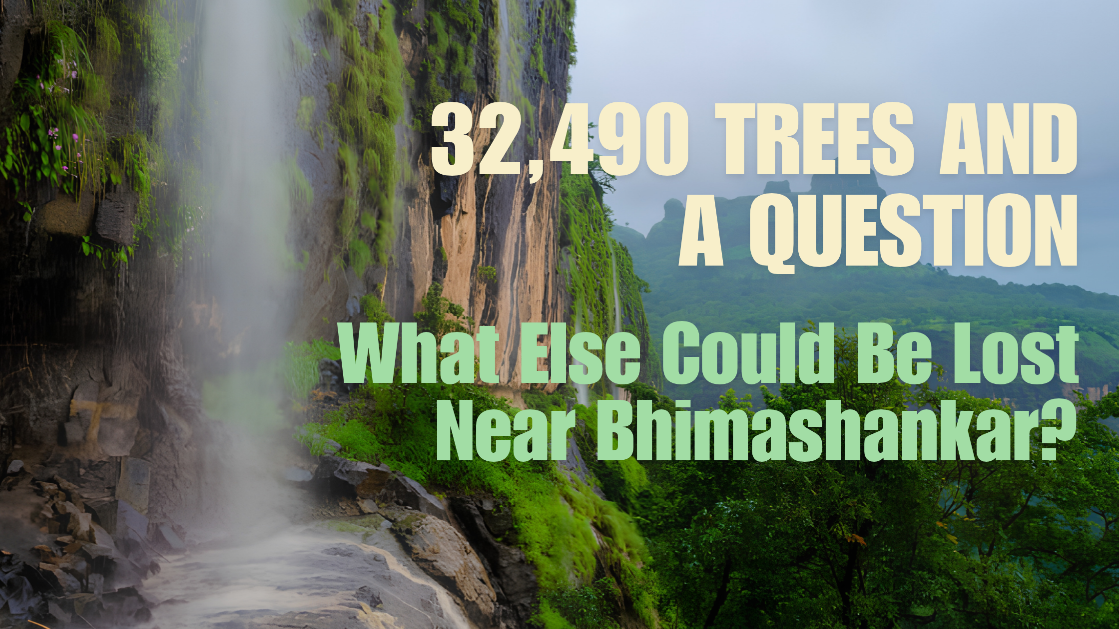 32,490 Trees and a Question: What Else Could Be Lost Near Bhimashankar?