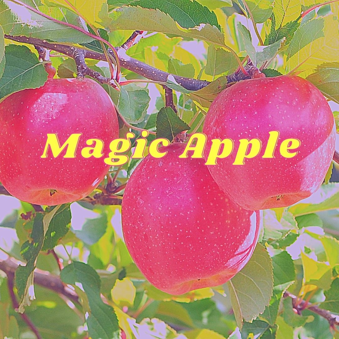 Finally Found the MAGIC APPLE!!!