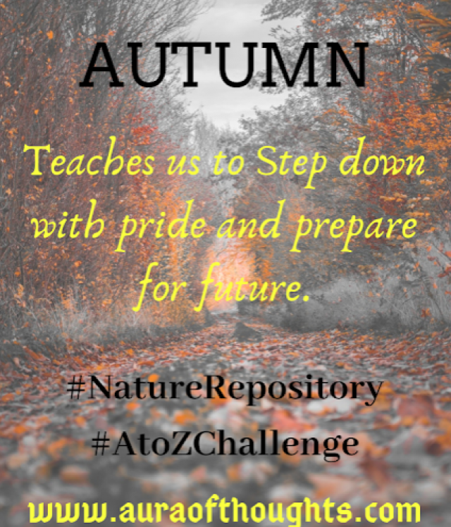 A - AUTUMN - Lessons from #NatureRepository